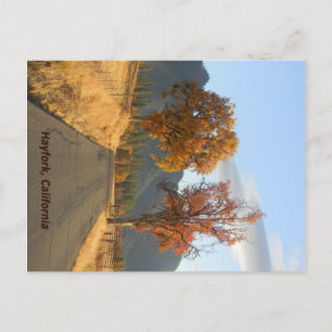 Goldener Herbst... Postkarte