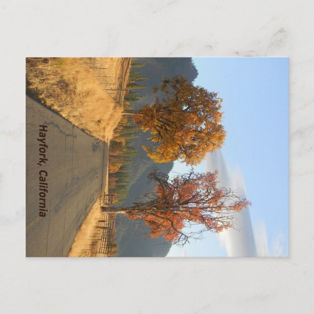 Goldener Herbst... Postkarte (Vorderseite)