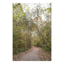 Goldener Herbstwaldweg Fotodruck