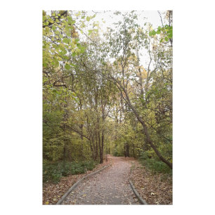 Goldener Herbstwaldweg Fotodruck