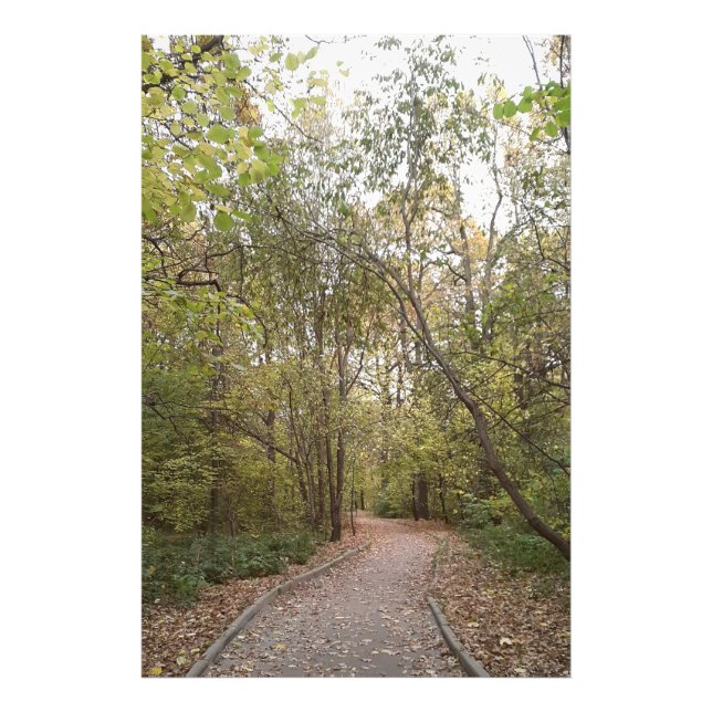 Goldener Herbstwaldweg Fotodruck (Vorne)