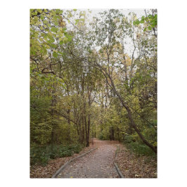 Goldener Herbstwaldweg Poster