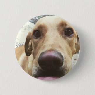 Goldener Labrador Button