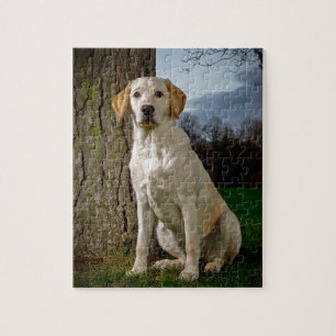 goldener Labrador Puzzle