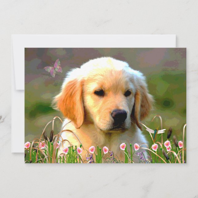 Goldener Labrador Welpe Austins Einladung (Vorderseite)