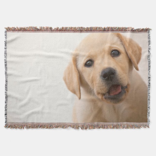 Goldener Labrador-Welpe Decke (Vorderseite)