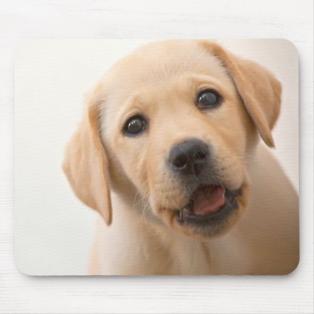 Goldener Labrador-Welpe Mousepad (Vorne)