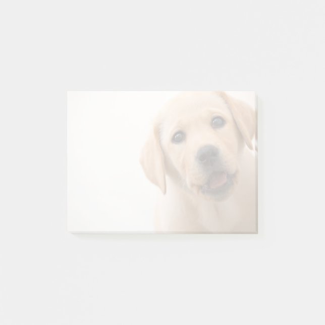 Goldener Labrador-Welpe Post-it Klebezettel (Vorderseite)