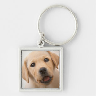 Goldener Labrador-Welpe Schlüsselanhänger