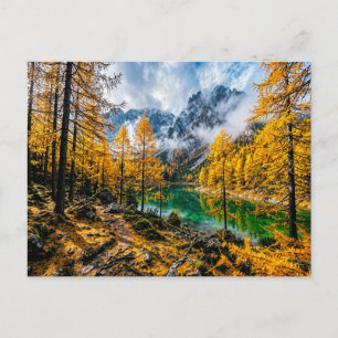 Goldener Lärchenwald am Bergsee Postkarte