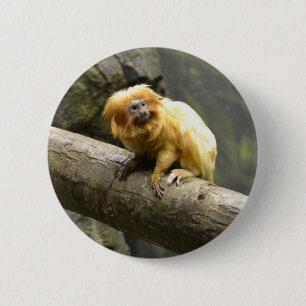 Goldener LöweTamarin Button