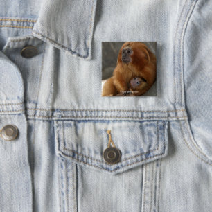 Goldener LöweTamarin mit Baby Button