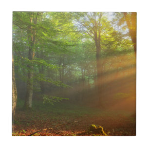 Goldener Moment des Lichtes Fliese