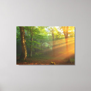 Goldener Moment des Lichtes Leinwanddruck