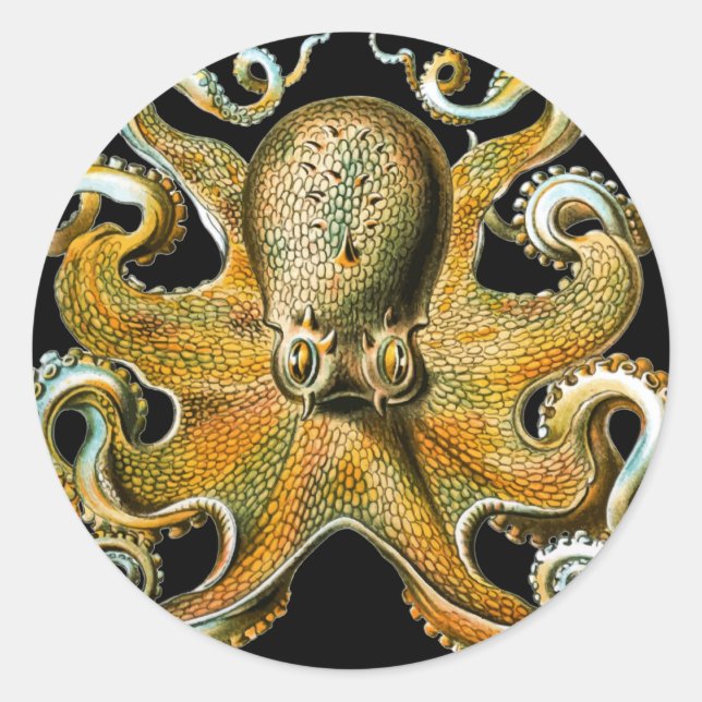 Goldener Oktopus Kunst Runder Aufkleber (Vorderseite)