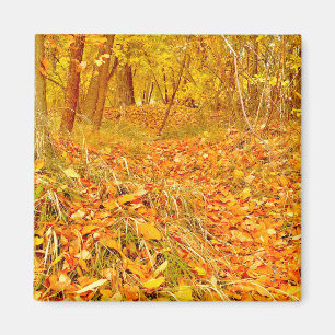 Goldener Pfad Magnet
