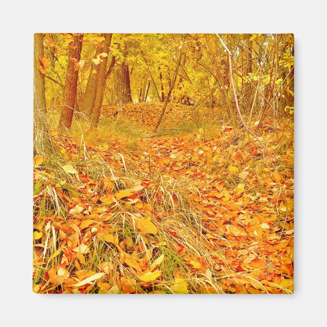 Goldener Pfad Magnet (Vorne)