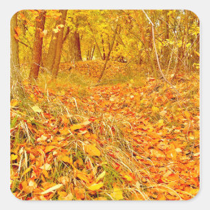 Goldener Pfad Quadratischer Aufkleber