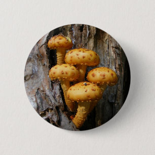 Goldener Pilz ~ Knopf Button