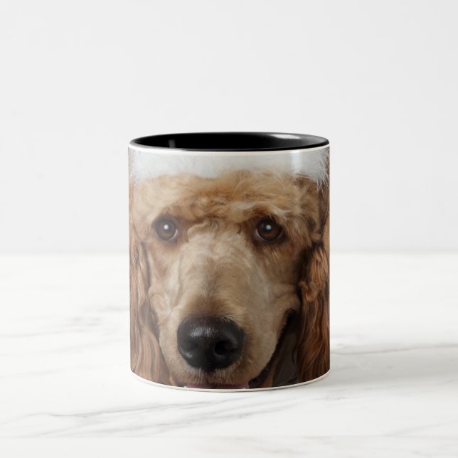Goldener Pudel-Hund, der ein weißes Clownkostüm Zweifarbige Tasse (Mittel)