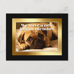 Goldener Rahmen - Rechteckform 6 Mops-Hund Postkarte