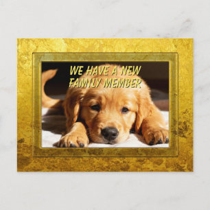 Goldener Rahmen - Rechteckform 8 Golden Retriever Postkarte