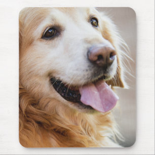 Goldener Reetiver, Hund, glücklicher Hund Mousepad