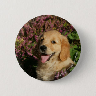 Goldener Retreiver Welpe Button