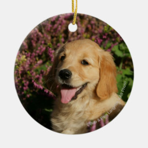 Goldener Retreiver Welpe Keramik Ornament