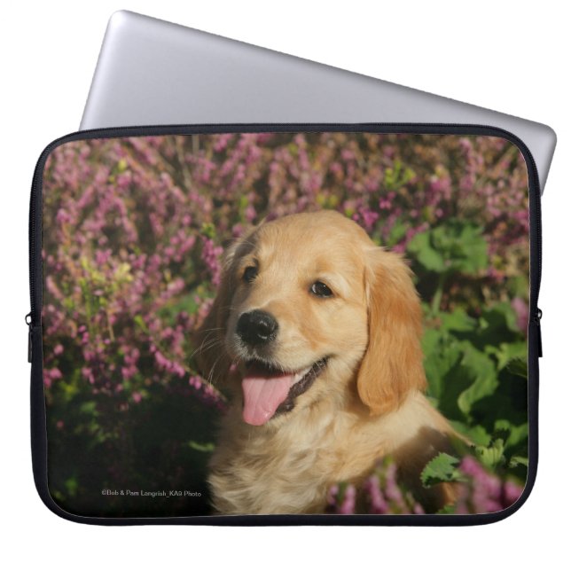 Goldener Retreiver Welpe Laptopschutzhülle (Vorderseite)