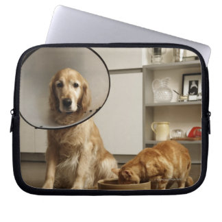 Goldener Retriehund mit medizinischem Kragen Laptopschutzhülle