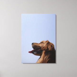Goldener Retriever 11 Leinwanddruck