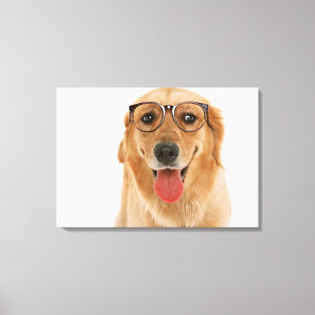 Goldener Retriever 8 Leinwanddruck (Vorderseite)