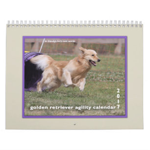 Goldener Retriever-Agility 2017 Kalender