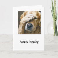 Goldener Retriever Ältere Geburtstags-Spaß