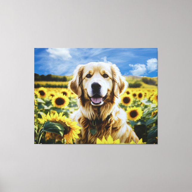 Goldener Retriever auf dem Sonnenblumenfeld Leinwanddruck (Vorderseite)