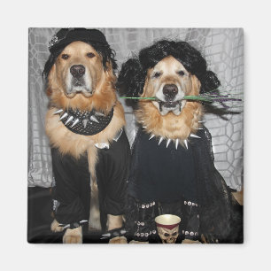 Goldener Retriever auf der Goth-Seite Magnet