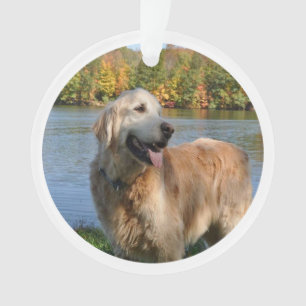 Goldener Retriever-Bob-Weihnachtsverzierung Ornament
