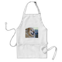 Goldener Retriever-Foto