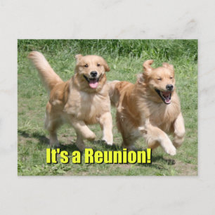 Goldener Retriever-Hund ist es ein Wiedersehen Ankündigungspostkarte