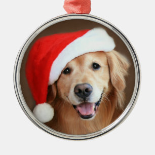 Goldener Retriever-Hund mit roter Ornament Aus Metall