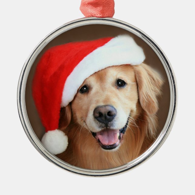 Goldener Retriever-Hund mit roter Ornament Aus Metall (Vorne)