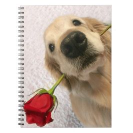 Goldener Retriever-Hund mit Roter Rose Notizblock