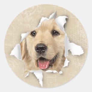 Goldener Retriever im Papierloch Runder Aufkleber