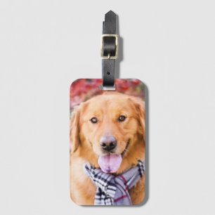 Goldener Retriever im Scarno Gepäckanhänger