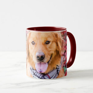 Goldener Retriever im Scarno Tasse