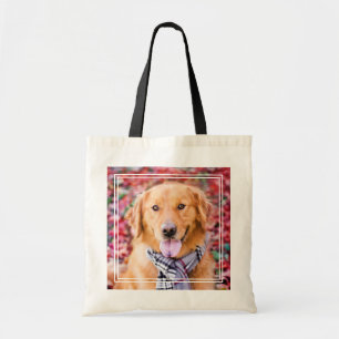 Goldener Retriever im Scarno Tragetasche
