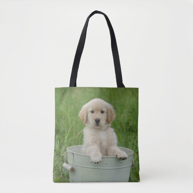 Goldener Retriever im Waschbecken (Vorderseite)