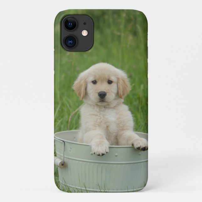 Goldener Retriever im Waschbecken Case-Mate iPhone Hülle (Rückseite)