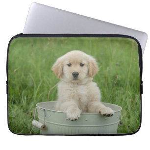 Goldener Retriever im Waschbecken Laptopschutzhülle